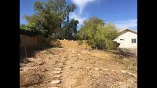 Backyard Fruit Tree Update, May '23, Phoenix Zone 9b, 103 Fruit Trees in the Desert!