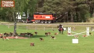 Fontainebleau 2017 - Cross par équipage