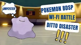 Ditto DISASTER | Pok&eacute;mon Brilliant Diamond and Shining Pearl