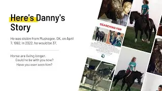 Searching For A Horse with Stolen Horse International-NetPosse.org