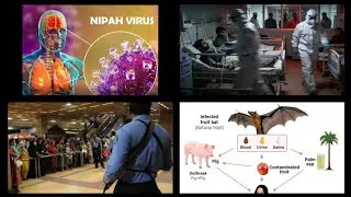 Breaking News: Pakistan on High Alert Over Nipah Virus | Border Screening After India Confirms Cases
