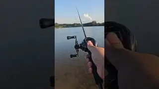 Ark Gravity BFS quick cast.