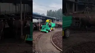 Automated Cow Farm in China Makes MILLIONS Growing Mushrooms! 🍄💰