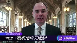 Stock market prices show investors &lsquo;like when activists target companies&rsquo;: Professor