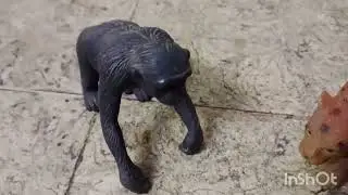 funny interaction 😂