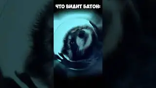 Енот когда увидел вкусняшку в Майнкрафт #Shorts #minecraft #юмор