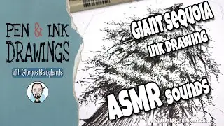 Giant Sequoia Tree Ink Drawing Part 1: Ink Work &ndash; Highlights with ASMR sounds