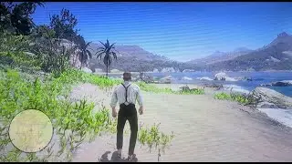 Red Dead Redemption 2 [Let's Play] Welcome To The New World (Mission 58)