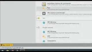 WINDEV, WEBDEV y WINDEV Mobile 25 US - Cartera de proyectos