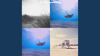 Mellow Backdrops for Summertime Vibes