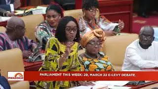 E-LEVY DEBATE IN PARLIAMENT