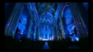 Damien Fontaine - Spectacles Immersifs - Neufch&acirc;teau 2026