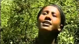 Manalemosh Dibo Dimamsew