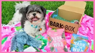 Summer 2018 BarkBox!
