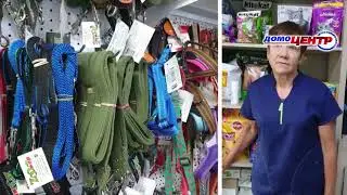 24 часа от 16.02.22_Ветеринарная клиника Vet Express