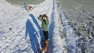 ballade dans la neige
