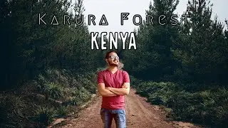 Karura Forest. Kenya's urban forest.