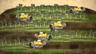 What really happens when peat swamp-forest is cleared?