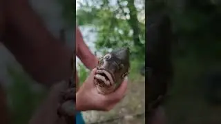 Один день на рыбалке 🐟 