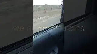 Global warming effects