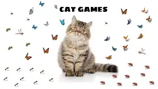 Cat Games | Fluttering Butterflies & Curious Critters Adventure! | Vol 04