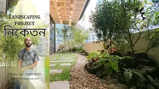 Zen Landscaping for veranda || Plantation in the garden || Nature design Bangladesh