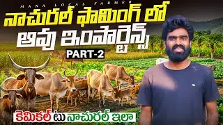 Natural farming methods through Cow based | న్యాచురల్ ఫామింగ్ విధానం Part-2