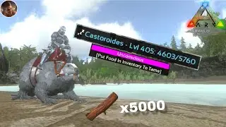 HIGH LEVEL CASTOROIDES TAMING!! ARK SURVIVAL EVOLVED MOBILE