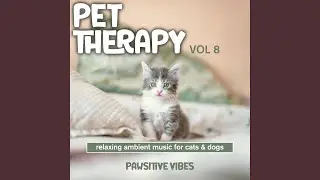 Purring Paradise