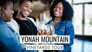 Yonah Mountain Vineyards Tour 🍷