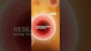 Mars  The Red Planet's Silent Transformation
