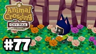 Lets Play: Animal Crossing City Folk - HYBRID Flower Arranging (Ep 77)