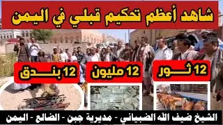#شاهد_من_افضل_مواقف_القبيله_في_اليمن تحكيم قبلي ب ١٢ بندق و١٢ ثور و١٢ مليون الشيخ ضيف الله الضبياني