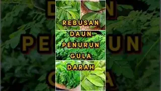 Rebusan daun penurun gula darah #info #health #herbal #shorts