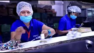 MIDAS Factory Overview 2021