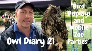 Owl Diary #21 | Common Questions on displays, mobile zoo parties and the falconry term of the week