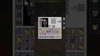 Finally i got immortal armour in mine berry