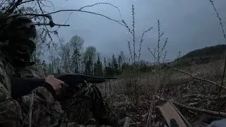 #6 Turkey hunt in mountains of Canada