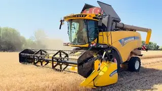 SON GÜN | HARMAN BİTTİ 🤗