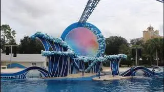 dolphin dance stadium | real experience | part 1