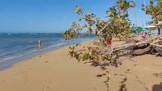 Playa Punta Popy