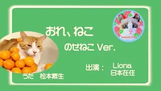 「おれ、ねこ」リオナ ✕ のせ猫 eテレ Hawaiian cat Liona