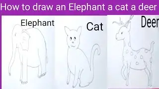 How to draw an elephant a cat and a deer | easy elephant a cat and a deer drawing with Am art |