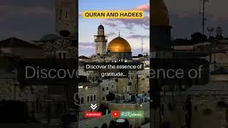 Discover Gratitude's Essence Appreciate Blessings Wholeheartedly 💖🙏   #shorts #Quran @SRIslamic