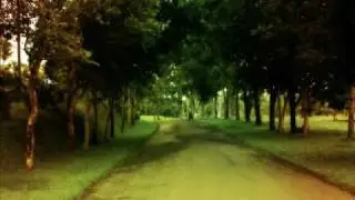 Truth in my heart.wmv