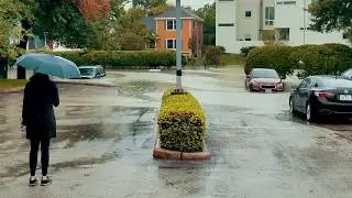Walter P Moore Responds to Hurricane Harvey