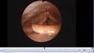 D-Scope View and Manage Media