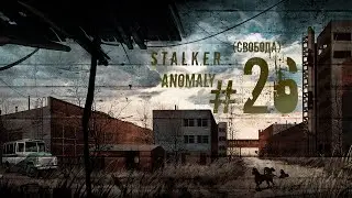 S.T.A.L.K.E.R. Anomaly #26 (Свобода)