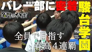 【密着】駿台学園高校バレー部 春高4連覇に向けた挑戦 データ分析と組織力で勝利を目指す｜名門のオキテ！