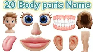 20 Body Parts Names for Kids | Body parts name  | shoumiktots #bodyparts 